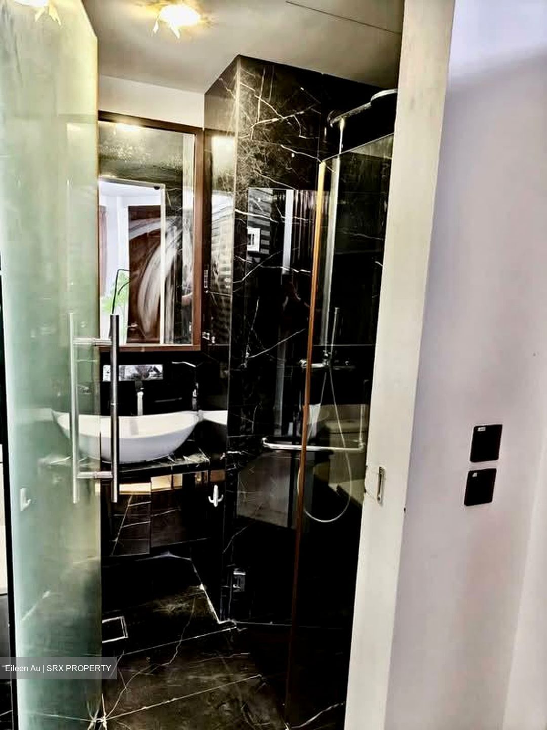 Devonshire 12 (D9), Apartment #560136481